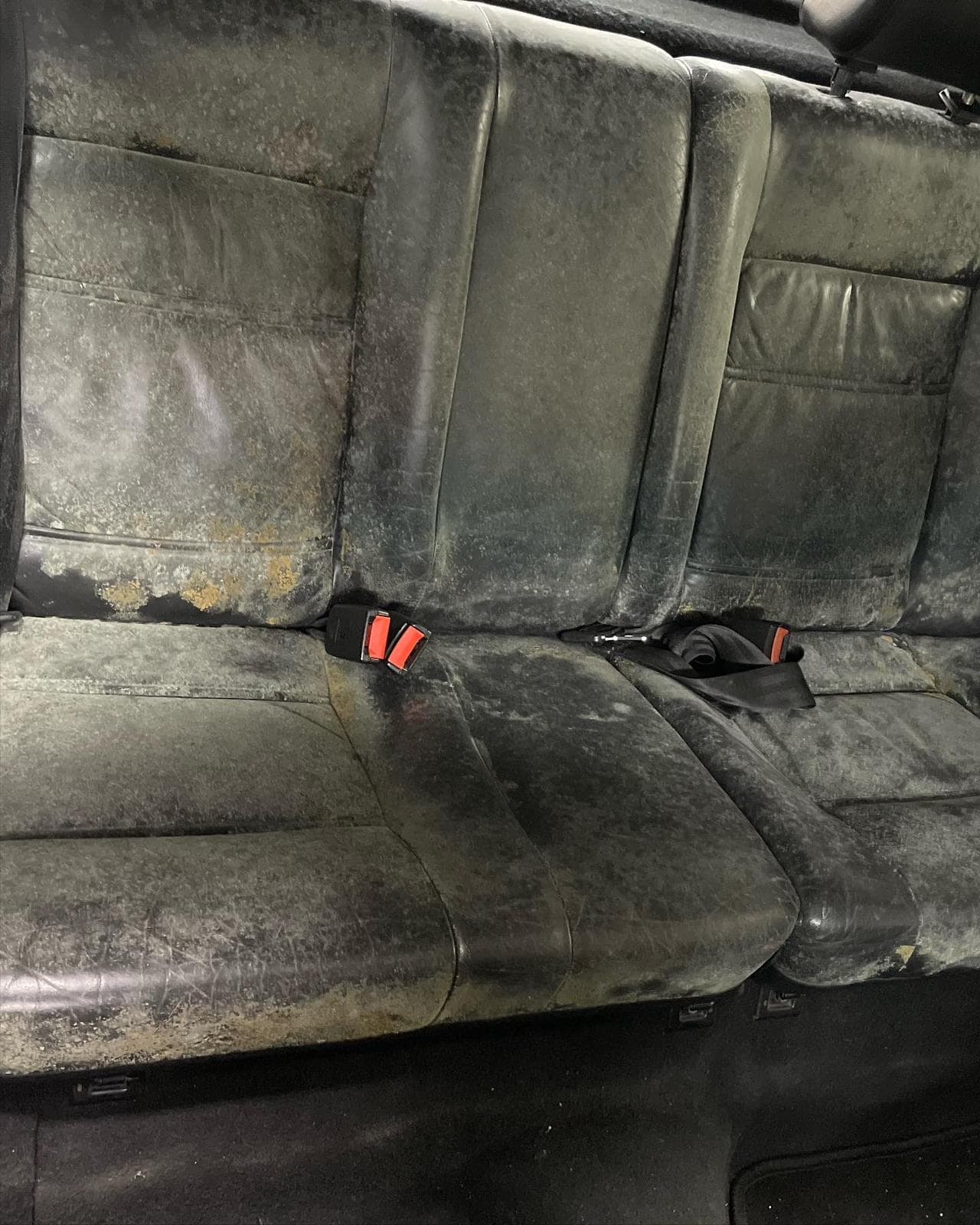 Banquette cuir avant apres nettoyage CLEAN CARS MRQS, Avant